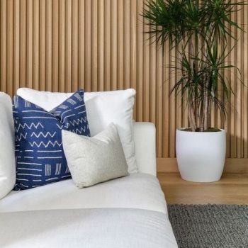 WhatsApp Image 2025-06-19 at 2.44.38 PM